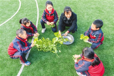 一名乡村教师的坚守(图6)